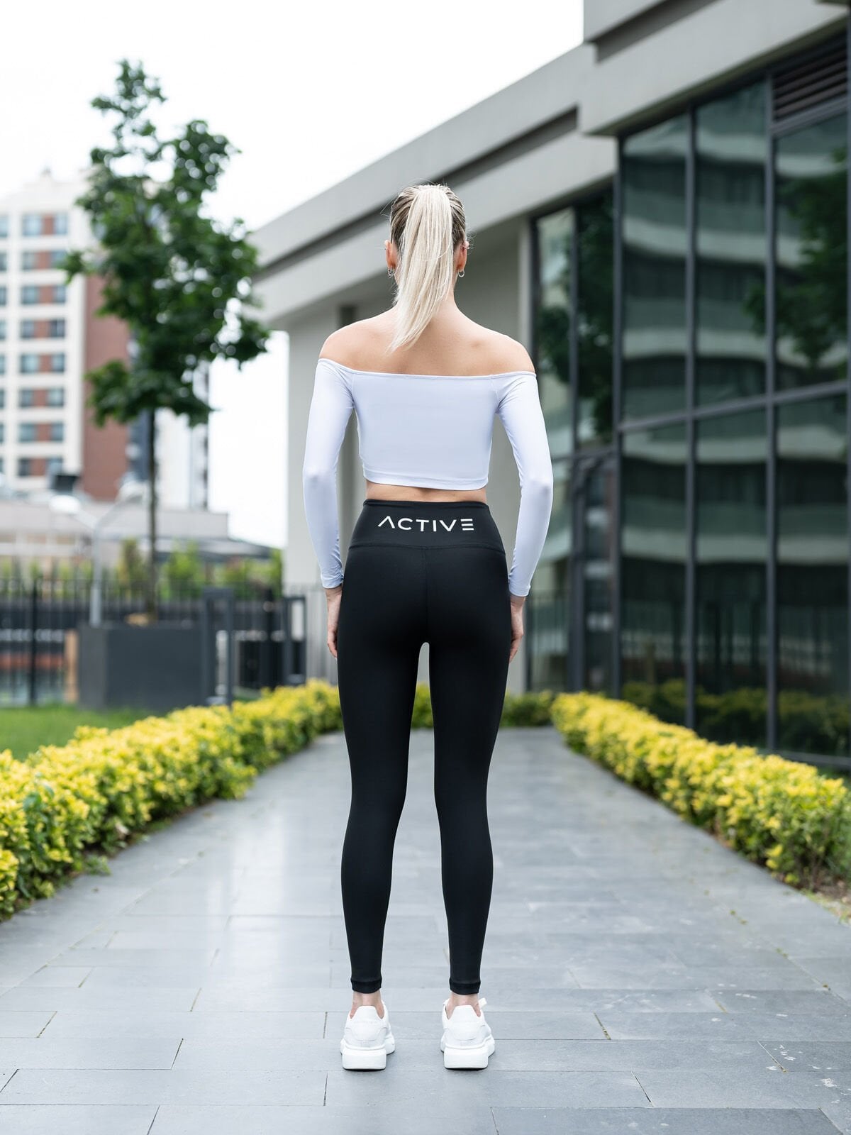 Active Tayt 387