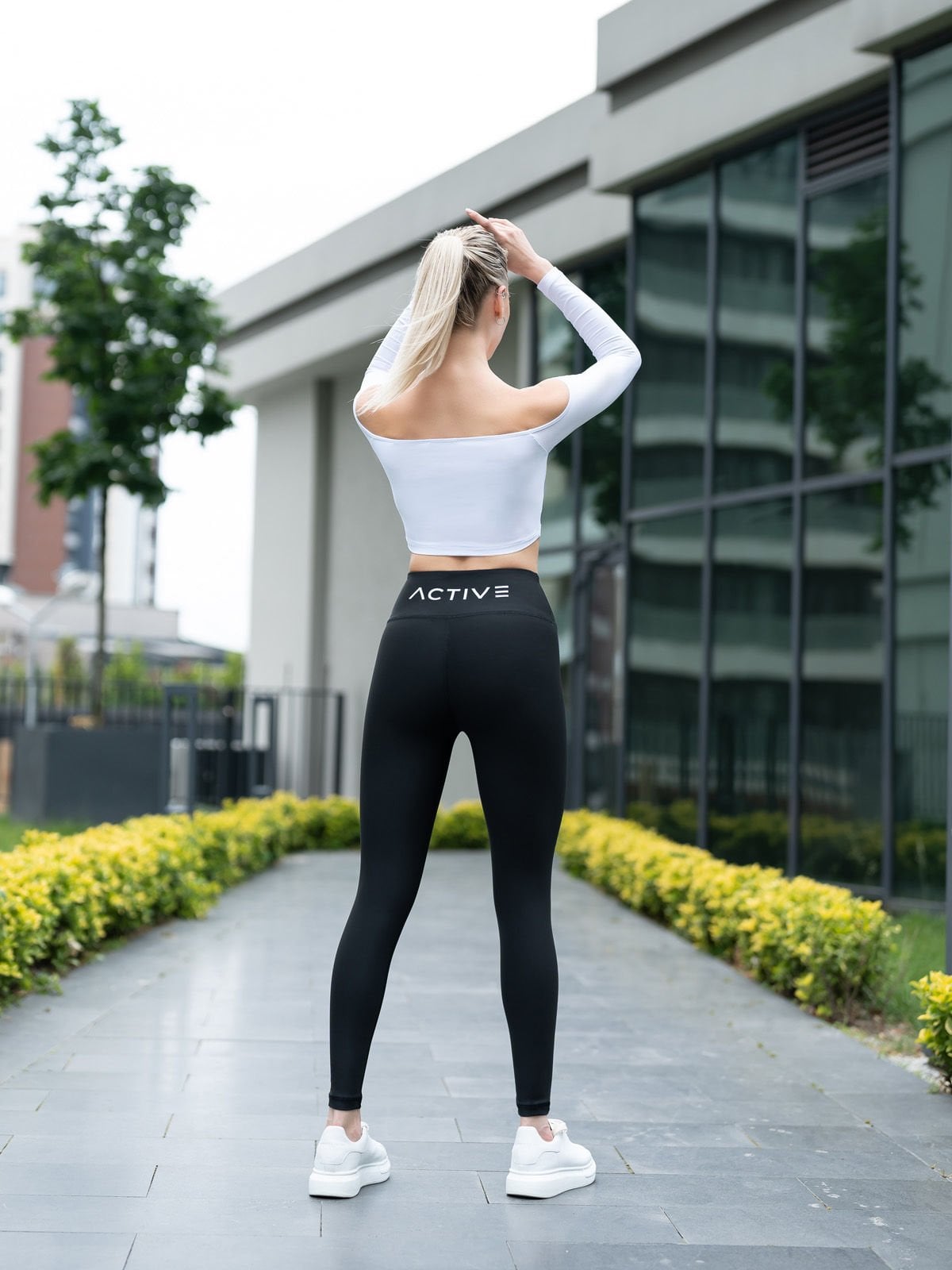 Active Tayt 387